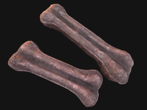 Pet Dog Gnawing Bone Treat Cookie Pack Modèle 3D