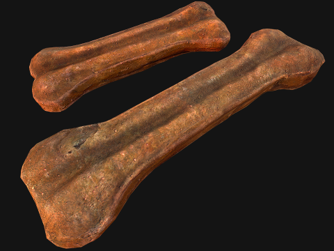 Pet Dog Gnawing Bone Treat Cookie Pack Modèle 3D