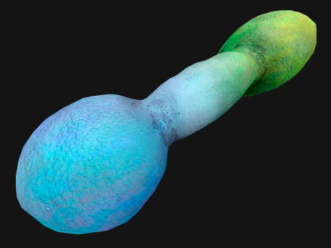 Dog Cat Pet Chew Gnawing Zoo Toy 3D Model