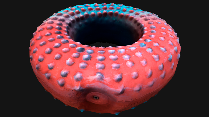 Chew Toy for Pet Dog Cat Gnawing Ring 3Dモデル .c4d .max .obj .3ds .fbx .stl .blend 