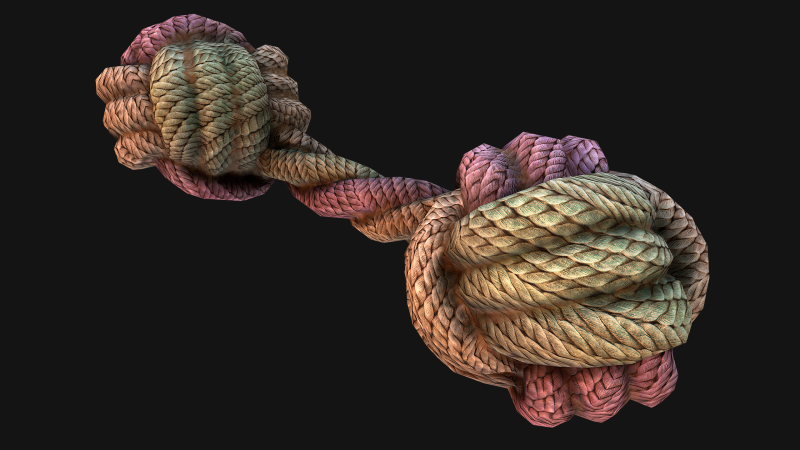 Pet Cat and Dog Rope for Gnawing Chew Toy 3D Model .c4d .max .obj .3ds .fbx .stl .blend