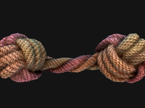 Pet Cat and Dog Rope for Gnawing Chew Toy 3D Model