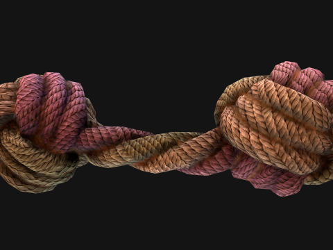 Pet Cat and Dog Rope for Gnawing Chew Toy 3D Model