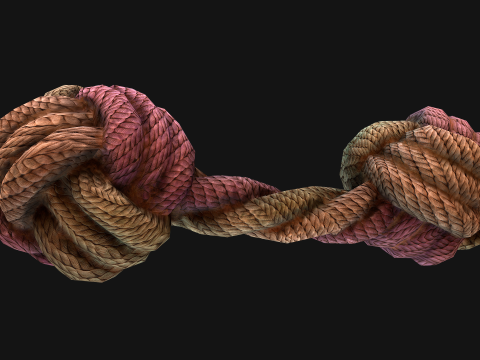 Pet Cat and Dog Rope for Gnawing Chew Toy 3D Model