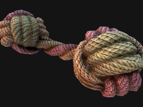 Pet Cat and Dog Rope for Gnawing Chew Toy 3D Model