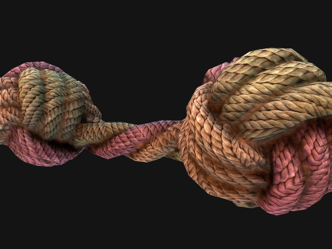 Pet Cat and Dog Rope for Gnawing Chew Toy 3D Model