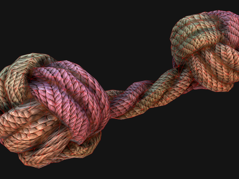 Pet Cat and Dog Rope for Gnawing Chew Toy 3D Model
