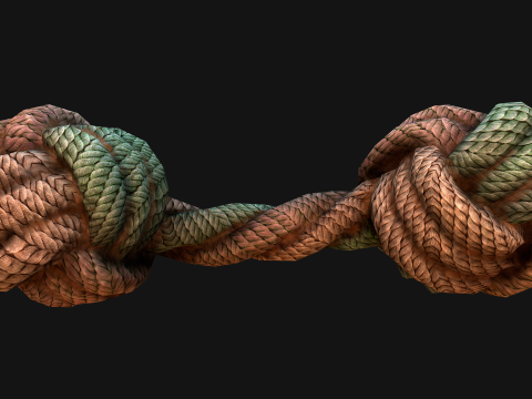 Pets Cats and Dogs Rope for Gnawing Chew Toy Model 3D