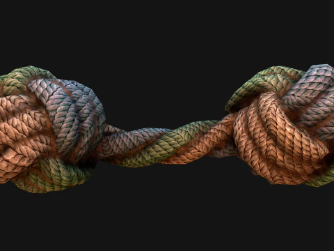 Pets Cats and Dogs Rope for Gnawing Chew Toy 3D Model
