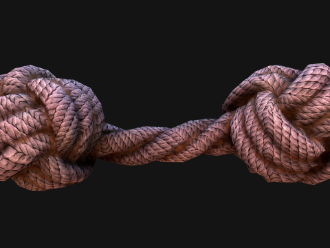 Pets Cats and Dogs Rope for Gnawing Chew Toy Model 3D
