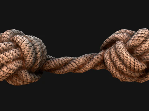 Pets Cats and Dogs Rope for Gnawing Chew Toy 3D Model