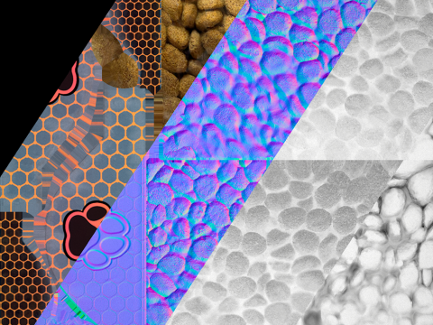 狗宠物猫干粮 3D 模型
