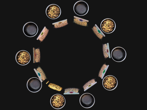Food in a Bowl Cat Dog Pet Zoo Set 3D 모델