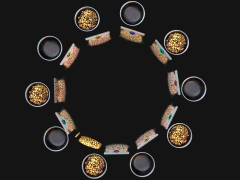 Comida em uma tigela Conjunto de zool&oacute;gico de animais de estima&ccedil;&atilde;o para c&atilde;es e gatos Modelo 3D