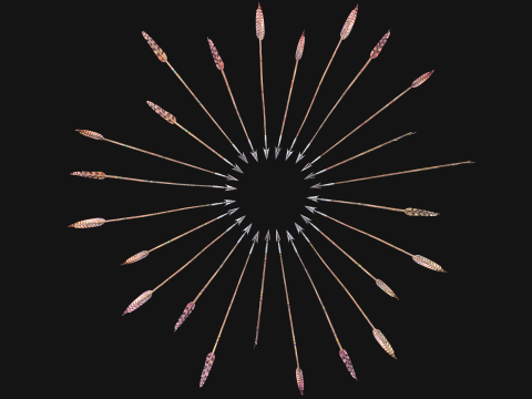 Medieval Arrow Arrows Crossbow Bolt Pack Set 3D 模型