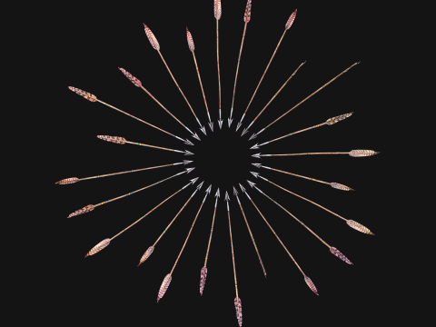 Medieval Arrow Arrows Crossbow Bolt Pack Set 3D 模型