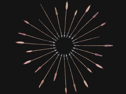 Medieval Arrow Arrows Crossbow Bolt Pack Set 3D 模型
