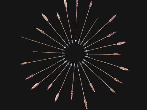 Medieval Arrow Arrows Crossbow Bolt Pack Set 3D 模型