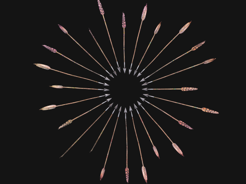 Medieval Arrow Arrows Crossbow Bolt Pack Set 3D 模型