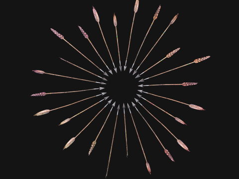 Medieval Arrow Arrows Crossbow Bolt Pack Set 3D 模型