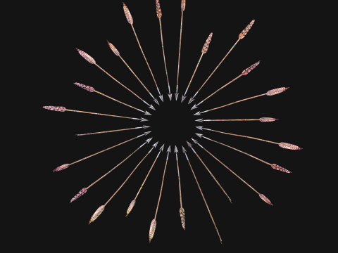 Medieval Arrow Arrows Crossbow Bolt Pack Set 3D 模型