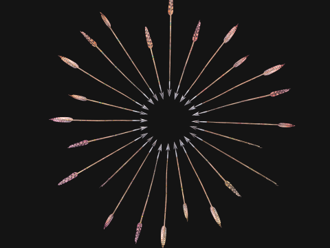 Medieval Arrow Arrows Crossbow Bolt Pack Set 3D 模型