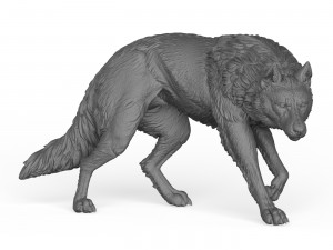 3D Print Ready Wolf Pose 3D Print Model