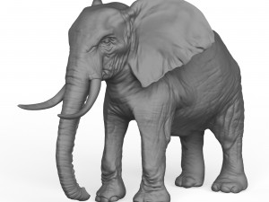 3D Print Ready Elephant 3D Print Model