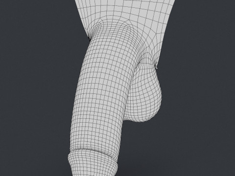 Realistic Male Penis Modelo 3D