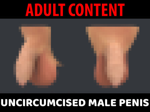 Uncircumcised Male Penis Modelo 3D