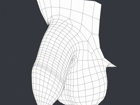 Uncircumcised Male Penis 3D Model