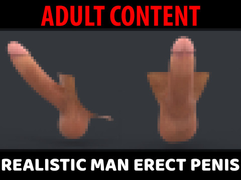 Realistic Man Erect Penis Modelo 3D