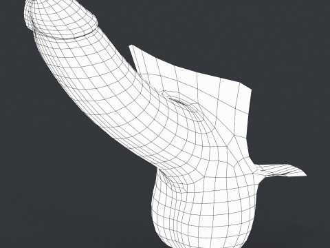 Realistic Man Erect Penis Modelo 3D