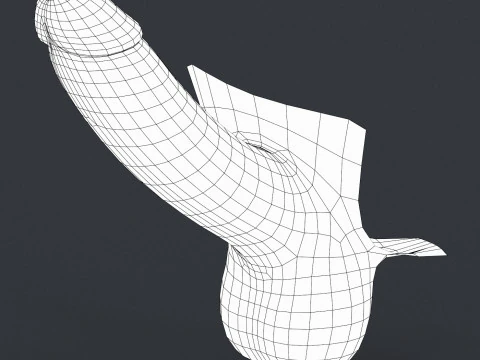 Realistic Man Erect Penis 3D Model