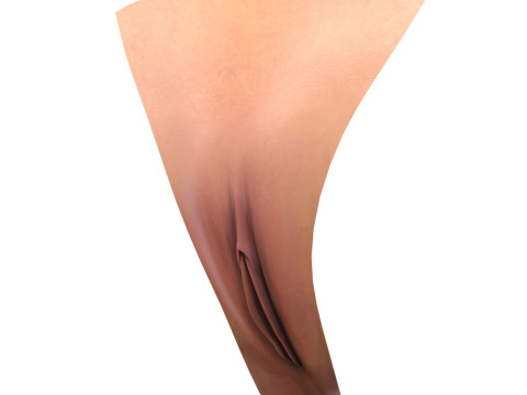 Realistic Female Vagina Model 3D
