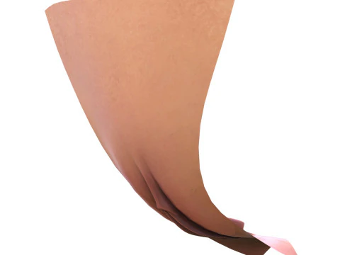 Realistic Female Vagina 3D Model