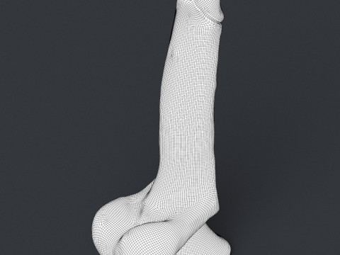 Realistic Penis Toy 3D 模型