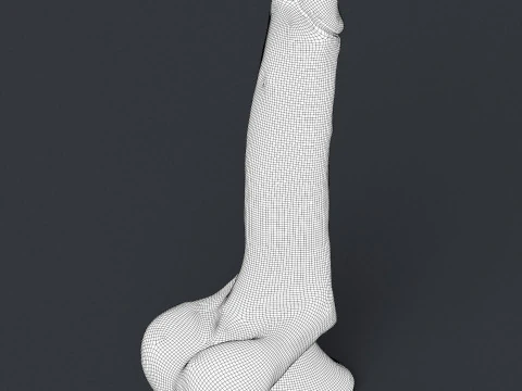 Realistic Penis Toy 3D Model