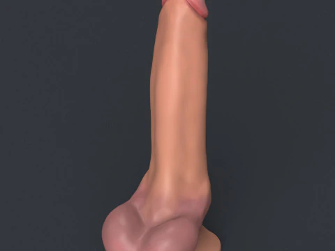 Realistic Penis Toy 3D Model