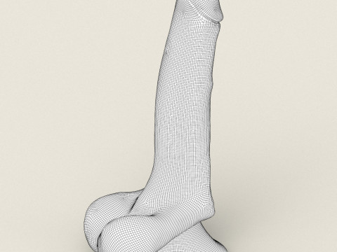 Realistic Black Penis Toy 3D Model
