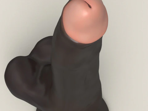 Realistic Black Penis Toy 3D Model