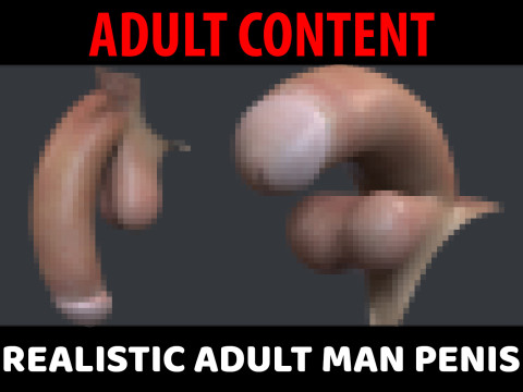 Realistic Adult Man Penis 3D Model