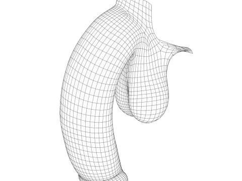 Realistic Adult Man Penis 3D-Modell