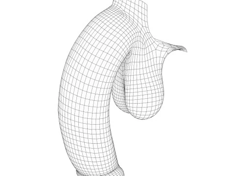 Realistic Adult Man Penis 3D Model