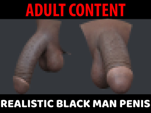 Realistic Black Male Penis 3D Model