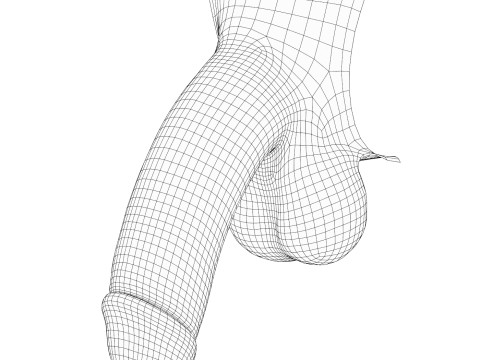 Realistic Black Male Penis 3D Модель
