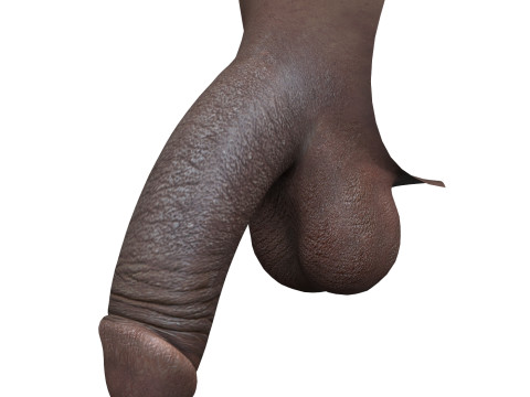 Realistic Black Male Penis Modèle 3D
