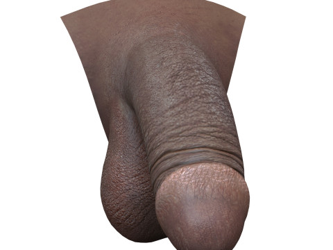 Realistic Black Male Penis Modèle 3D