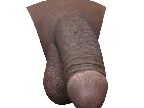 Realistic Black Male Penis 3D Model