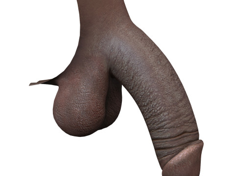Realistic Black Male Penis Modèle 3D